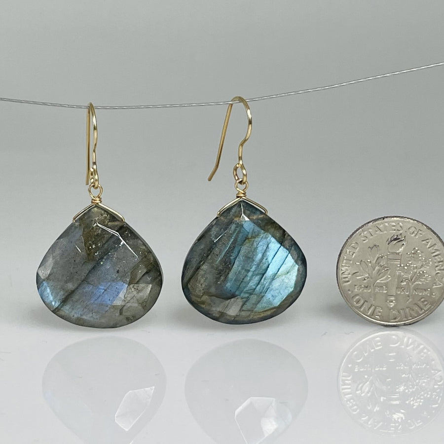 Labradorite Earrings 18x18mm