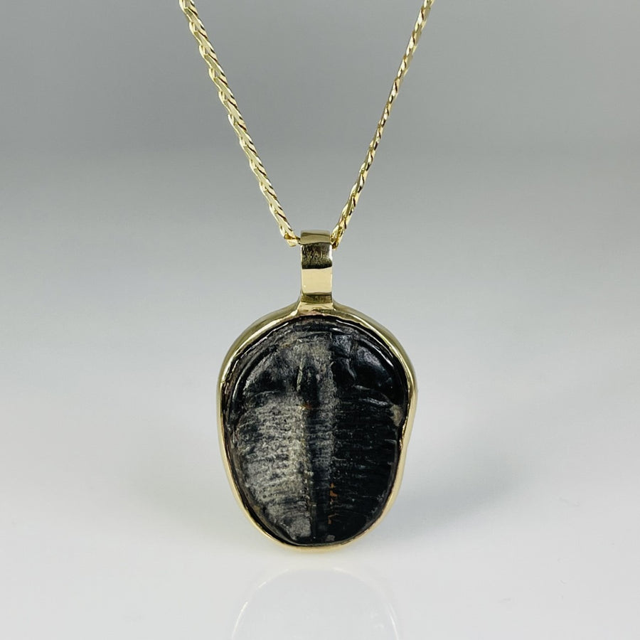 14K Yellow Gold Trilobite Necklace