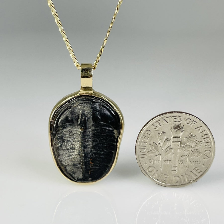 14K Yellow Gold Trilobite Necklace