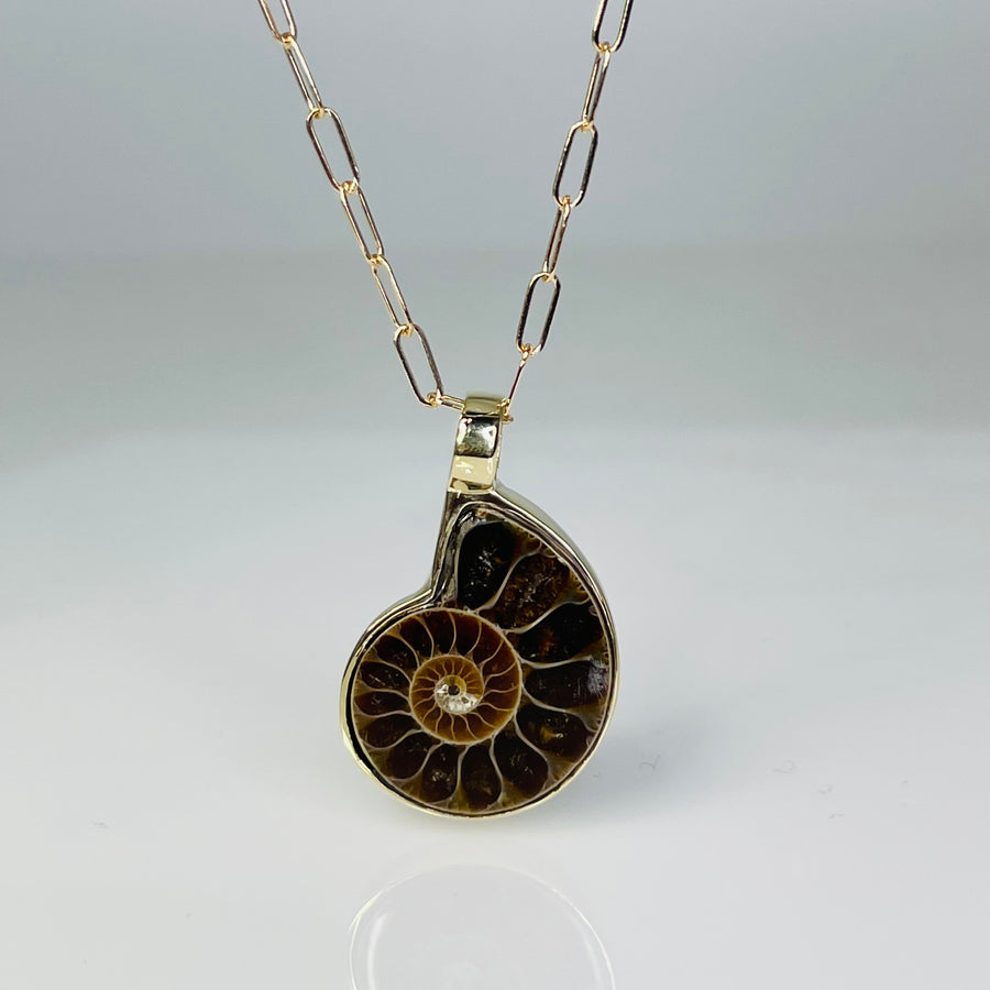 14K Yellow Gold Ammonite Necklace 16x20mm