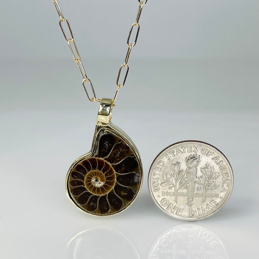 14K Yellow Gold Ammonite Necklace 16x20mm