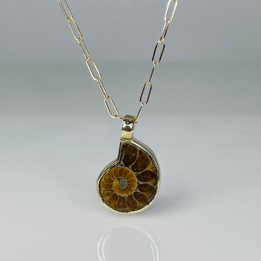 14K Yellow Gold Ammonite Necklace 14x16mm