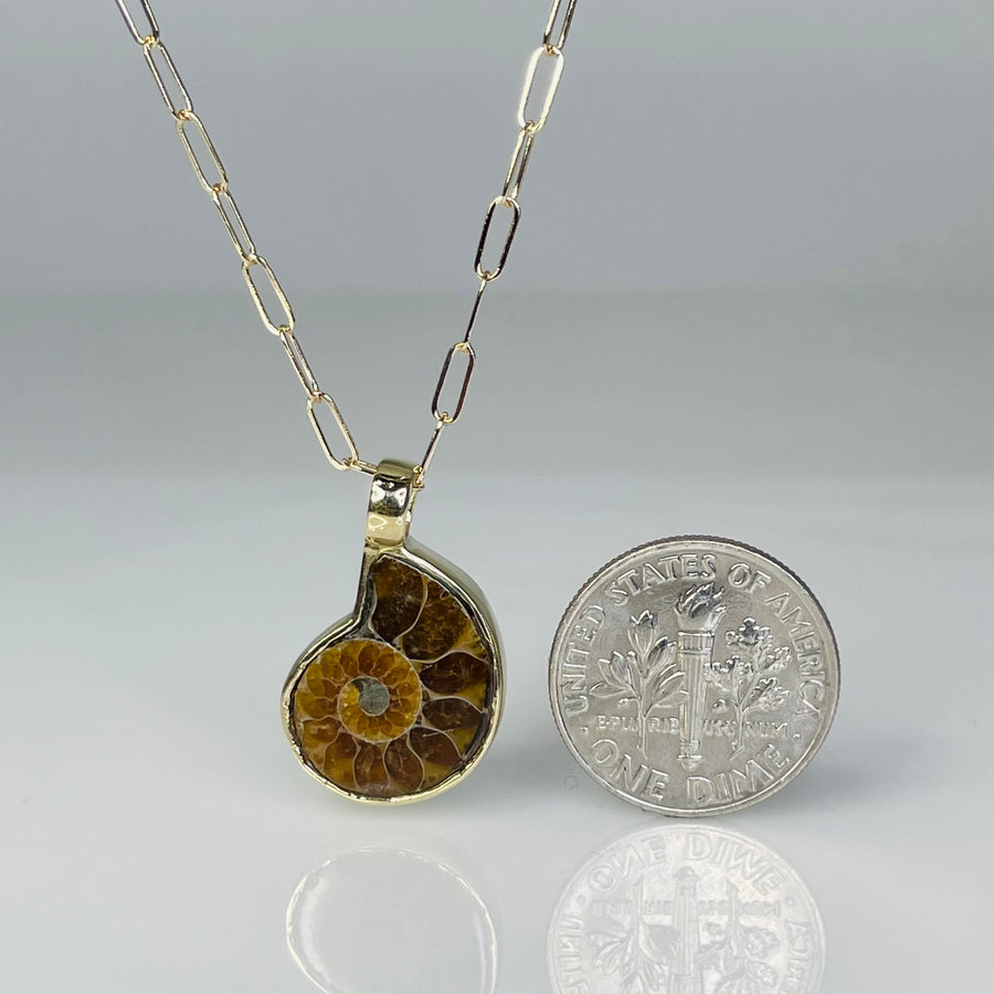 14K Yellow Gold Ammonite Necklace 14x16mm