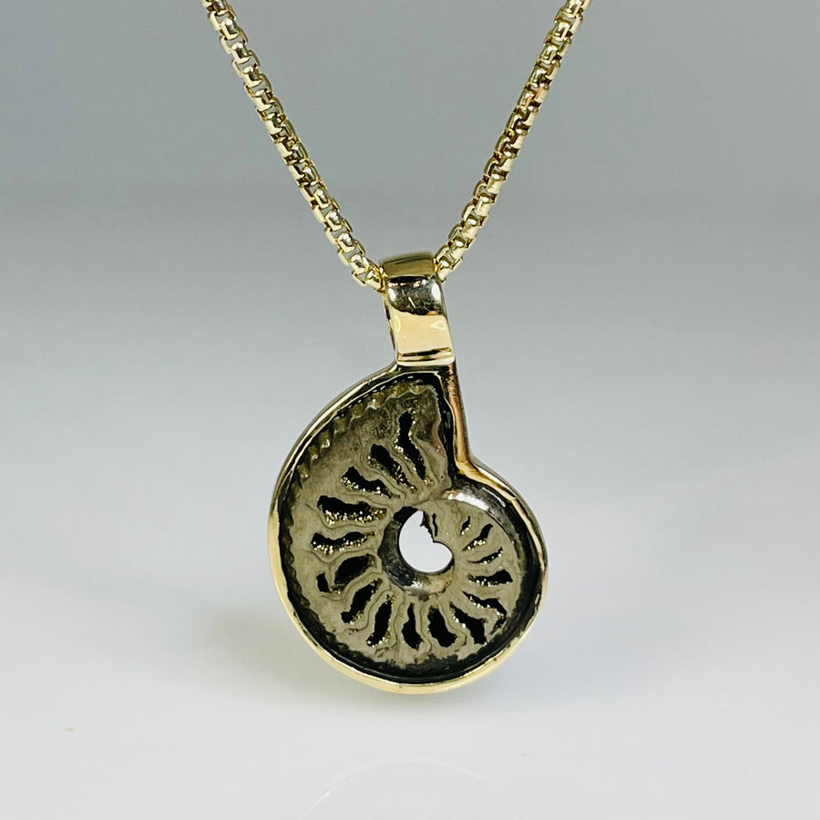14K Yellow Gold Pyritized Ammonite Necklace